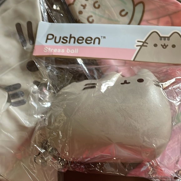 PUSHEEN SUMMER TRIO - Picture 4 of 4